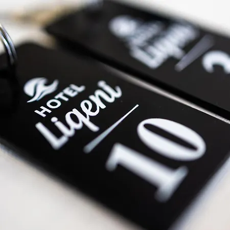 Liqeni فندق تيرانا