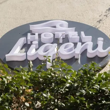 Liqeni 3* Tirana