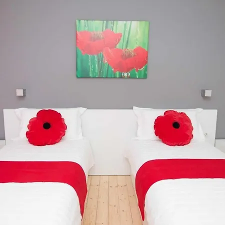 Rimini 3* Tirana