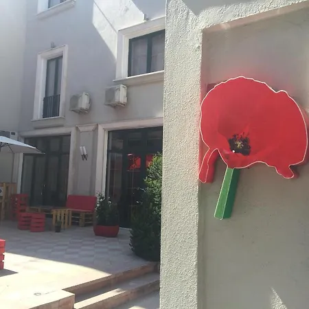 Rimini Tirana